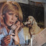 Stella Stevens in The Mad Room (1969) directed by Bernard Girard